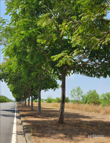 hẹn hò - Bạn già-Nam -Tuổi:43 - Độc thân-Đồng Nai-Tìm bạn bè mới