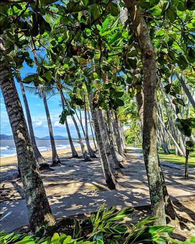 hẹn hò - Forest Tree-Nam -Tuổi:36 - Độc thân-Hà Nội-Tìm bạn bè mới