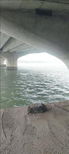 hẹn hò - quang hải-Nam -Tuổi:41 - Đã có gia đình-Bình Dương-Tìm bạn tâm sự