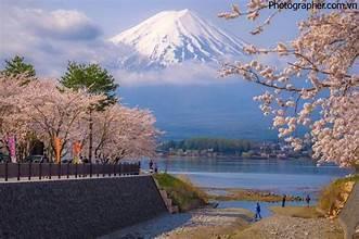 hẹn hò - Bình minh-Nam -Tuổi:39 - Độc thân-Đà Nẵng-Người yêu lâu dài