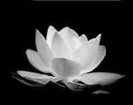 hẹn hò - dung-Nam -Tuổi:32 - Độc thân-TP Hồ Chí Minh-Người yêu lâu dài