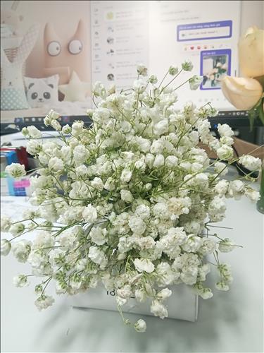 Tĩnh lặng của nước