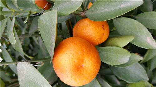 hẹn hò - Huy-Nam -Tuổi:50 - Đã có gia đình-Hà Nội-Tìm bạn bè mới