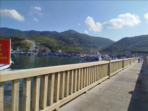 GU THÍCH TRUNG NIÊN MẬP