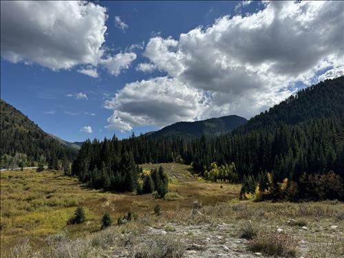 hẹn hò - Tam Nguyen-Nam -Tuổi:35 - Độc thân--Tìm bạn bè mới