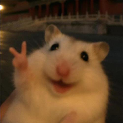 hẹn hò - Minh Luân-Male -Age:18 - Single-TP Hồ Chí Minh-Lover - Best dating website, dating with vietnamese person, finding girlfriend, boyfriend.