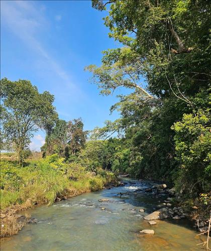 hẹn hò - Đi tìm hp-Nam -Tuổi:42 - Độc thân-TP Hồ Chí Minh-Người yêu lâu dài