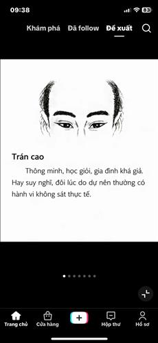 Hoàng Trần 