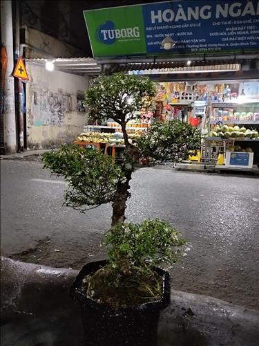 hẹn hò - Bảo -Male -Age:50 - Divorce--Lover - Best dating website, dating with vietnamese person, finding girlfriend, boyfriend.