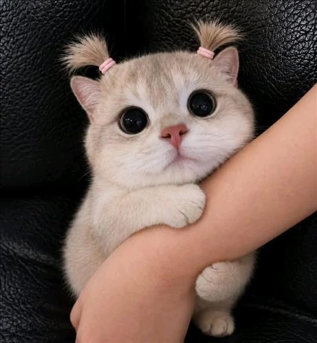 Chờ một người...