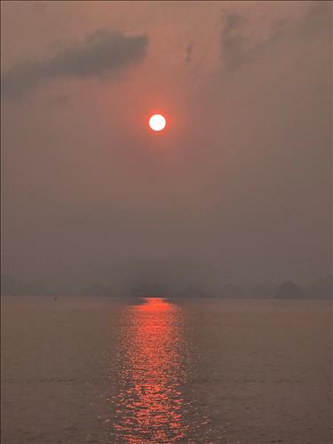 Tu Anh
