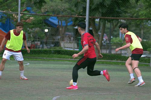 Tri Tran