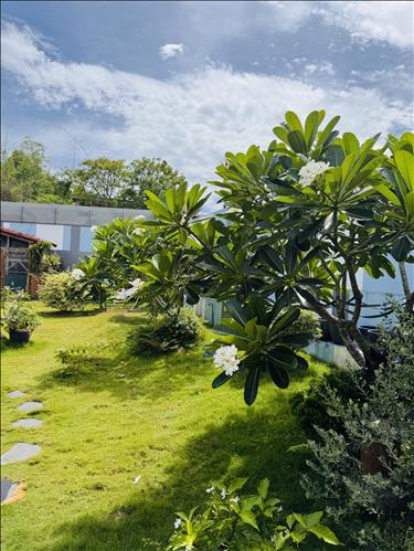hẹn hò - Phước Sang-Nam -Tuổi:18 - Độc thân-Hà Tĩnh-Người yêu lâu dài