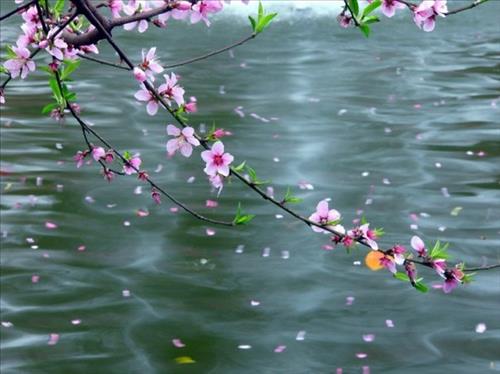 hẹn hò - Sinh 8x-Nam -Tuổi:40 - Ly dị-Hà Nội-Người yêu lâu dài