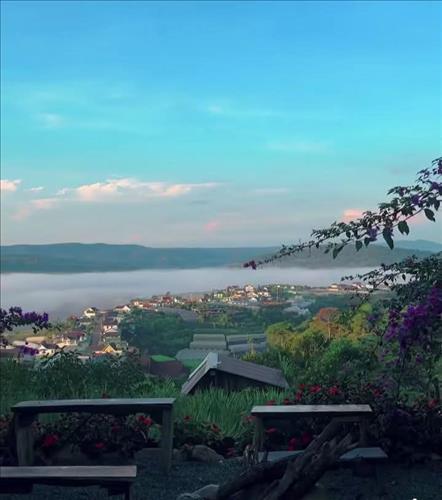 Màu nắng 