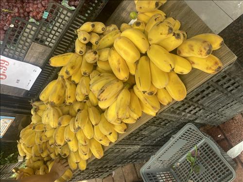 hẹn hò - Hữu Duyên-Nam -Tuổi:38 - Độc thân-Khánh Hòa-Tìm bạn bè mới
