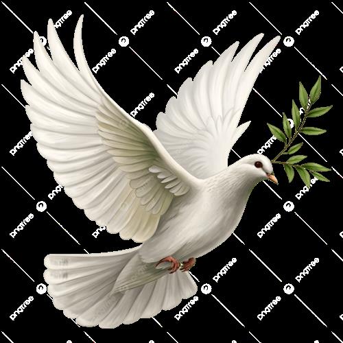 hẹn hò - Huy Hoàng -Nam -Tuổi:40 - Độc thân-TP Hồ Chí Minh-Tìm bạn tâm sự