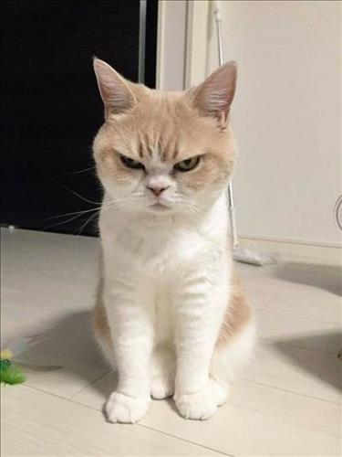 Đừng Nói
