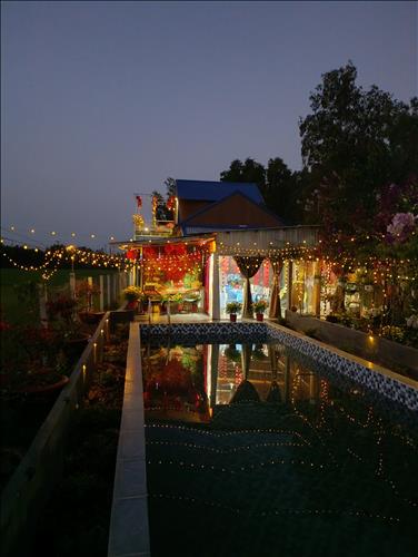 Kiều 