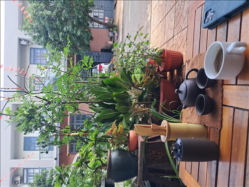 Góc nhỏ bình yên