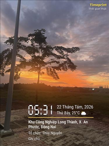 Sun Nguyễn 