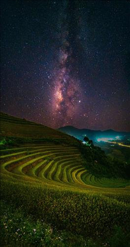 TÚ Trần