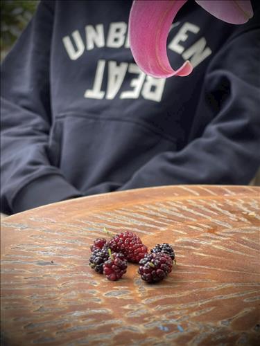 MiHi