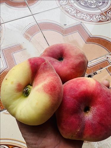 hẹn hò - Làm quen nha-Gay -Tuổi:38 - Độc thân-Đồng Nai-Tìm bạn tâm sự