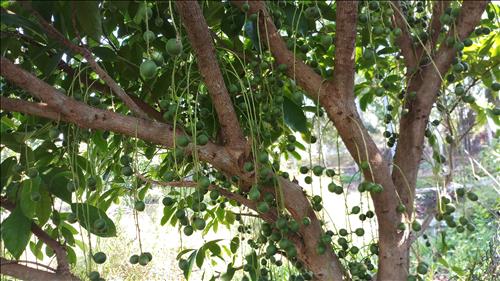 hẹn hò - Trung Vitas-Gay -Tuổi:37 - Độc thân-Cần Thơ-Người yêu ngắn hạn