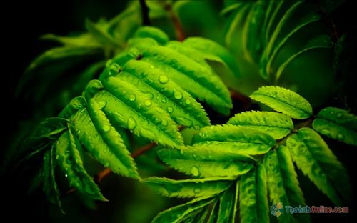 hẹn hò - Gió-Gay -Age:31 - Single-TP Hồ Chí Minh-Confidential Friend - Best dating website, dating with vietnamese person, finding girlfriend, boyfriend.