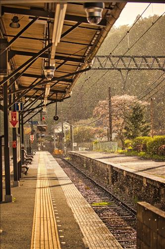 hẹn hò - Mr fuji-Gay -Tuổi:40 - Độc thân-TP Hồ Chí Minh-Người yêu lâu dài