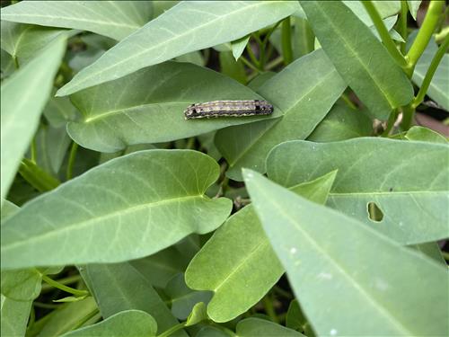 hẹn hò - Năng Nguyễn-Gay -Tuổi:33 - Độc thân-TP Hồ Chí Minh-Người yêu lâu dài