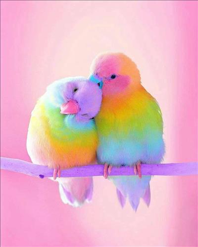 hẹn hò - Paulo Trương -Gay -Tuổi:30 - Độc thân-Ninh Thuận-Người yêu lâu dài