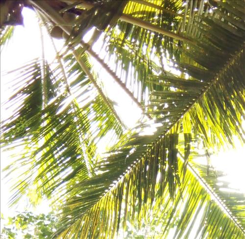 hẹn hò - huynh-Gay -Tuổi:31 - Độc thân-TP Hồ Chí Minh-Người yêu lâu dài