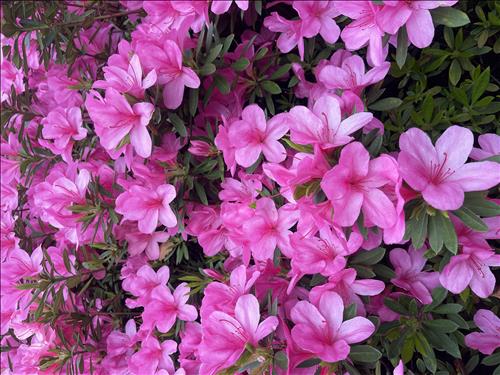 hẹn hò - Lưu Lạc-Gay -Tuổi:32 - Độc thân-TP Hồ Chí Minh-Người yêu lâu dài