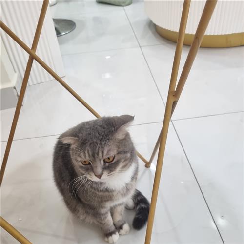 hẹn hò - Huy-Gay -Tuổi:30 - Độc thân-TP Hồ Chí Minh-Người yêu lâu dài