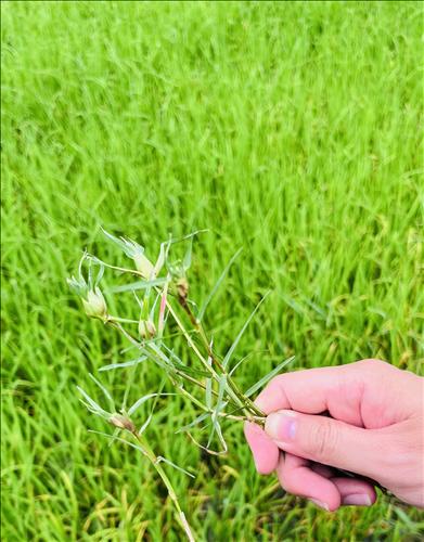 hẹn hò - CVu-Gay -Tuổi:30 - Độc thân-TP Hồ Chí Minh-Người yêu lâu dài