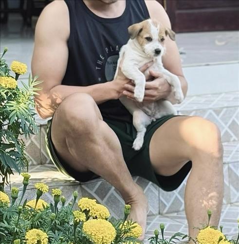 hẹn hò - Trung Niên 17cm kong và đầu nấm-Gay -Age:43 - Married-TP Hồ Chí Minh-Short Term - Best dating website, dating with vietnamese person, finding girlfriend, boyfriend.