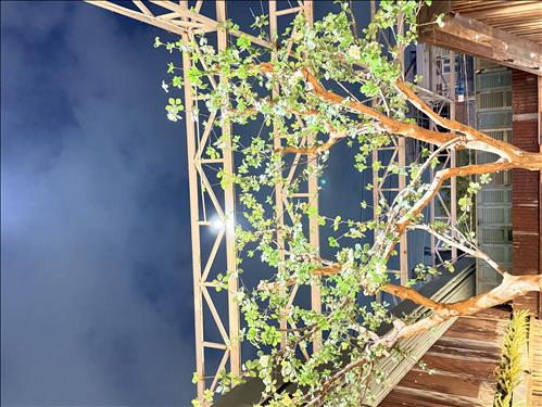 hẹn hò - Bảo-Gay -Tuổi:28 - Độc thân-TP Hồ Chí Minh-Người yêu lâu dài