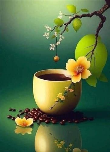 hẹn hò - Tran quan-Gay -Tuổi:52 - Đã có gia đình-TP Hồ Chí Minh-Tìm bạn bè mới