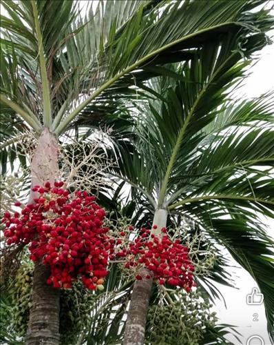 hẹn hò - Hữu duyên-Gay -Tuổi:53 - Đã có gia đình-TP Hồ Chí Minh-Người yêu lâu dài