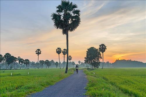 hẹn hò - Tìm bạn tên Minh quê Nha Trang làm vitinh-Gay -Tuổi:41 - Đã có gia đình-TP Hồ Chí Minh-Người yêu lâu dài