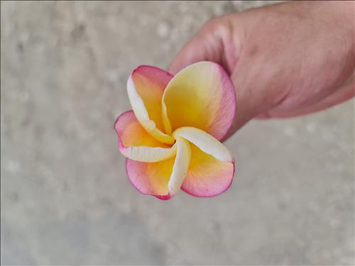hẹn hò - Mr H-Gay -Tuổi:34 - Độc thân-TP Hồ Chí Minh-Người yêu lâu dài