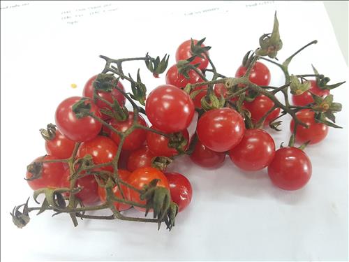 hẹn hò - Mr H-Gay -Tuổi:34 - Độc thân-TP Hồ Chí Minh-Người yêu lâu dài