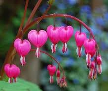 hẹn hò - Chân Tình -Gay -Tuổi:48 - Độc thân-Hà Nội-Người yêu lâu dài