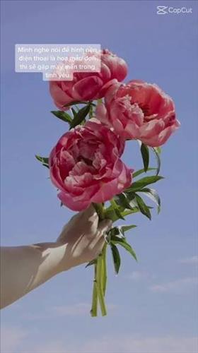 hẹn hò - Tìm top trung niên -Gay -Tuổi:26 - Độc thân-TP Hồ Chí Minh-Người yêu lâu dài