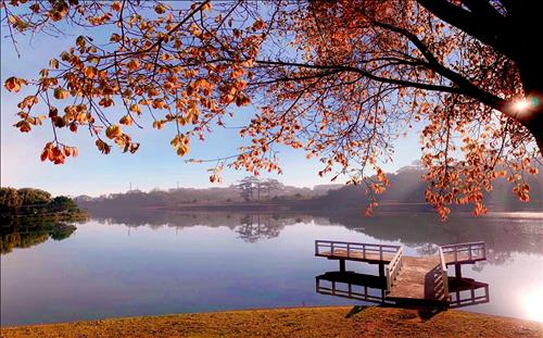 hẹn hò - Minh-Gay -Tuổi:44 - Độc thân-TP Hồ Chí Minh-Người yêu lâu dài