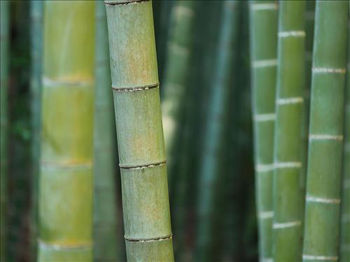 hẹn hò - Vạn-Gay -Tuổi:33 - Độc thân-TP Hồ Chí Minh-Tìm bạn bè mới