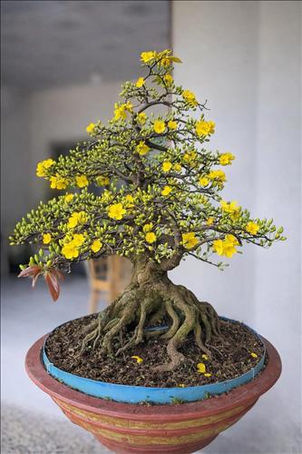 hẹn hò - Minh Nam-Gay -Age:53 - Married-TP Hồ Chí Minh-Friend - Best dating website, dating with vietnamese person, finding girlfriend, boyfriend.