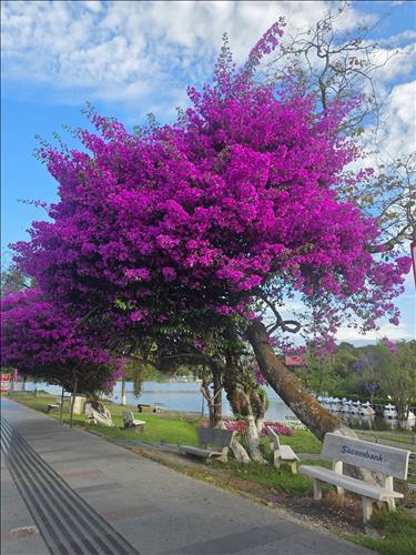 hẹn hò - Minh Quân-Gay -Tuổi:52 - Đã có gia đình-TP Hồ Chí Minh-Người yêu lâu dài